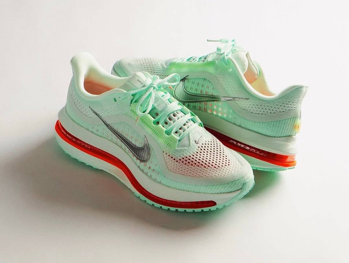 NIKE "Pegasus Premium" —-> 35€ ✨