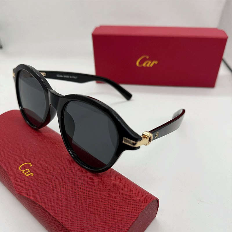 Gafas de Sol Estilosas ✨