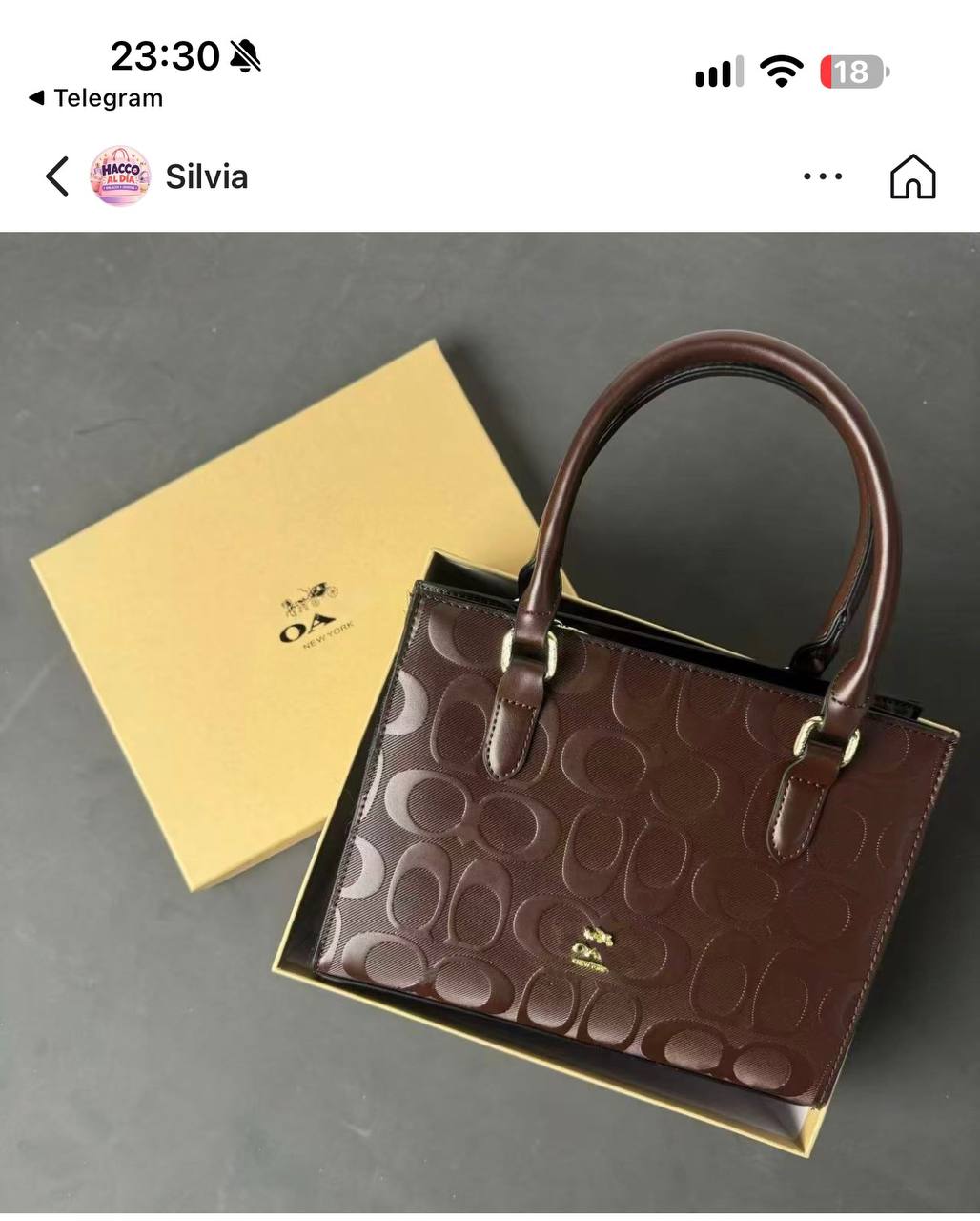 Coach https://c.onlyaff.app/d3nrmv
