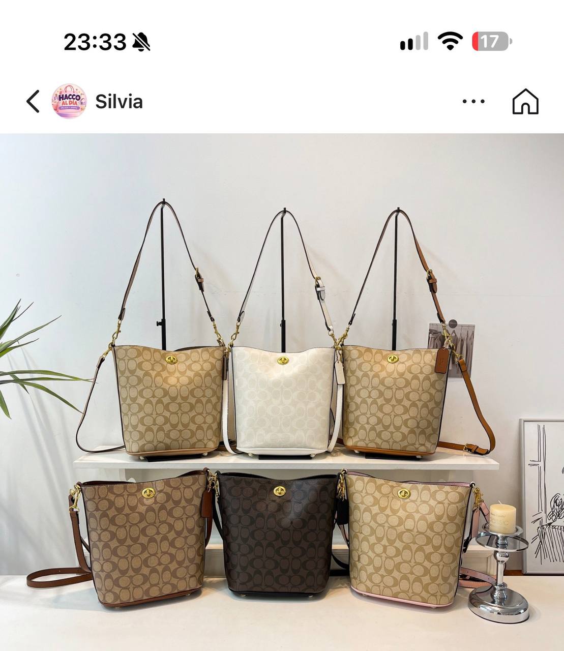 Coach https://c.onlyaff.app/d3nHJq