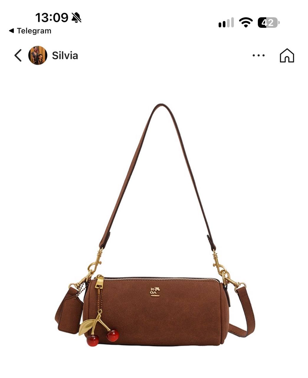 Coach https://c.onlyaff.app/dshFK7